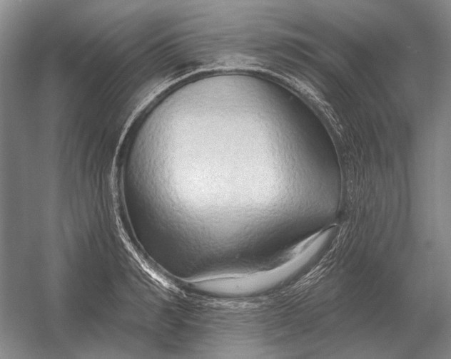 X0000054360990200508191815