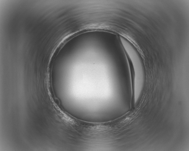 X0000054360992200508191815