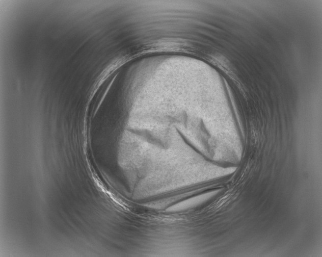 X0000054360994200508191815