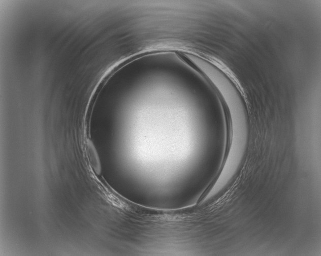 X0000054360996200508191815