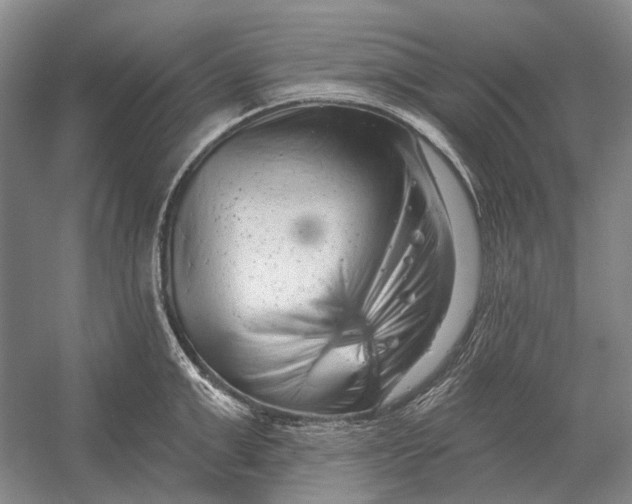 X0000054360999200508191815