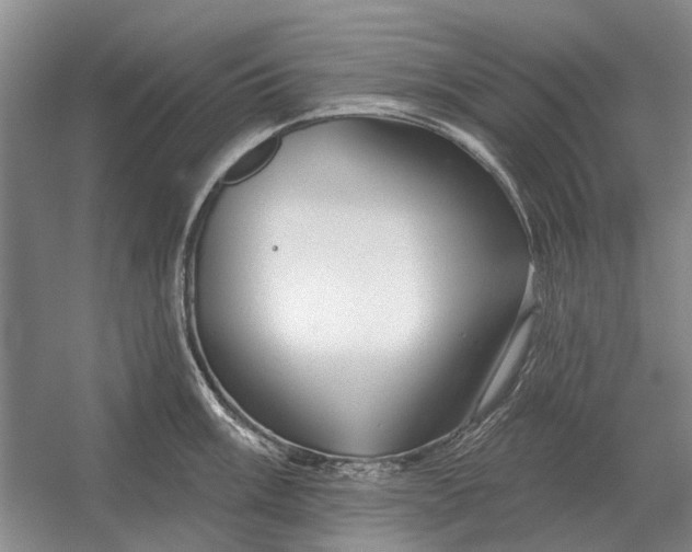 X0000054361003200508191814