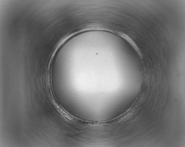 X0000054361004200508191814