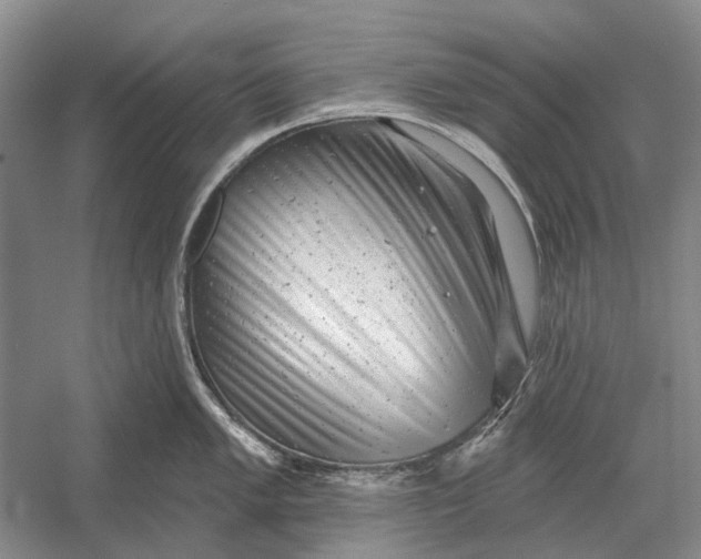 X0000054361005200508191814