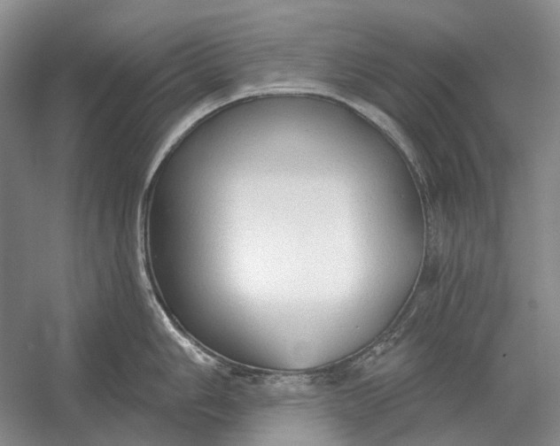 X0000054361006200508191814