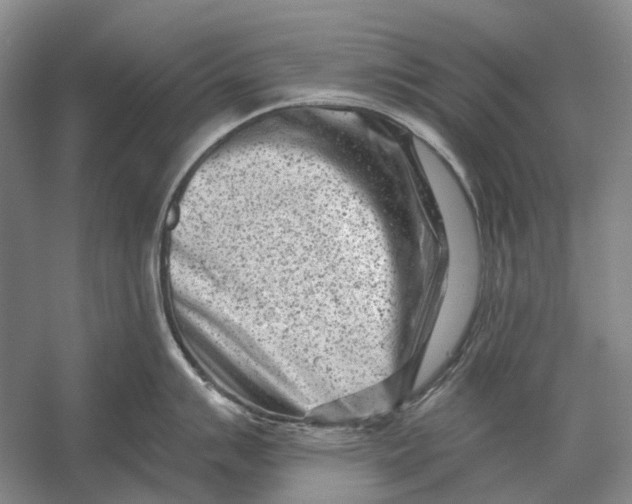 X0000054361007200508191814