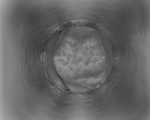 X0000054361010200508191814