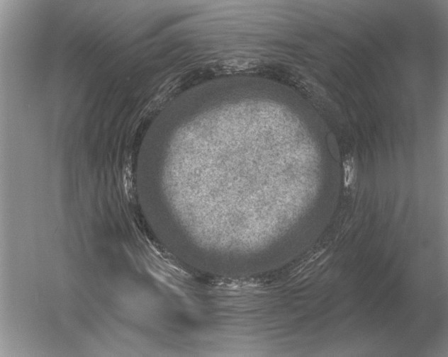X0000054361011200508191814