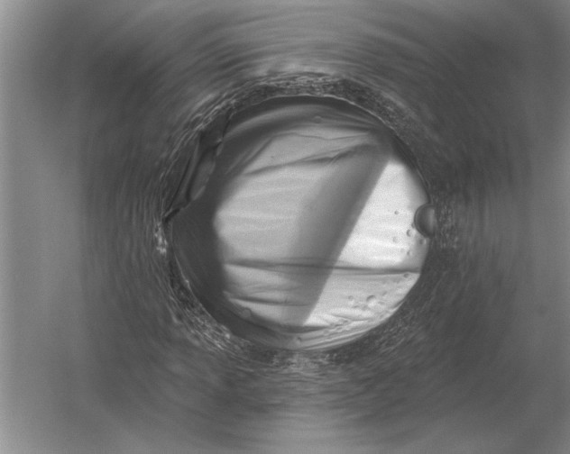 X0000054361013200508191814