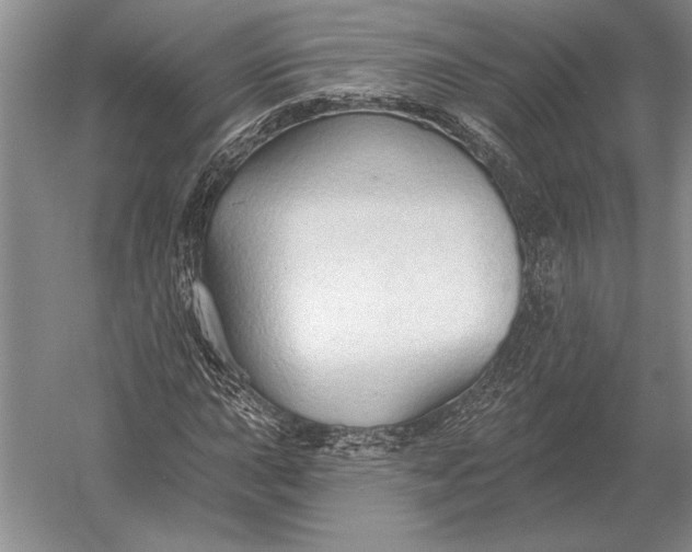 X0000054361015200508191814