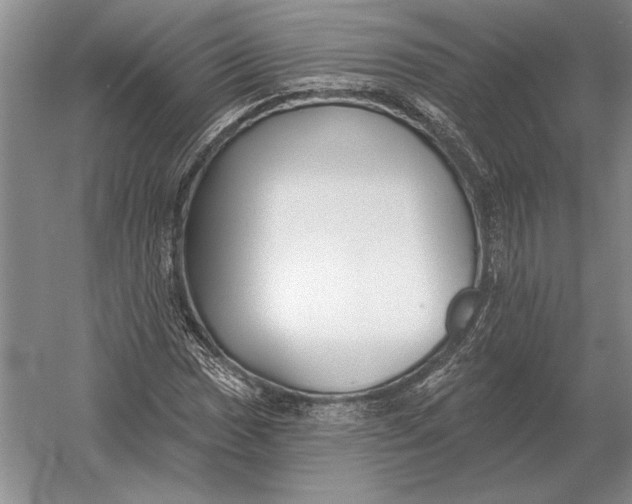 X0000054361017200508191814
