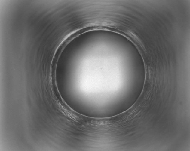 X0000054361020200508191814