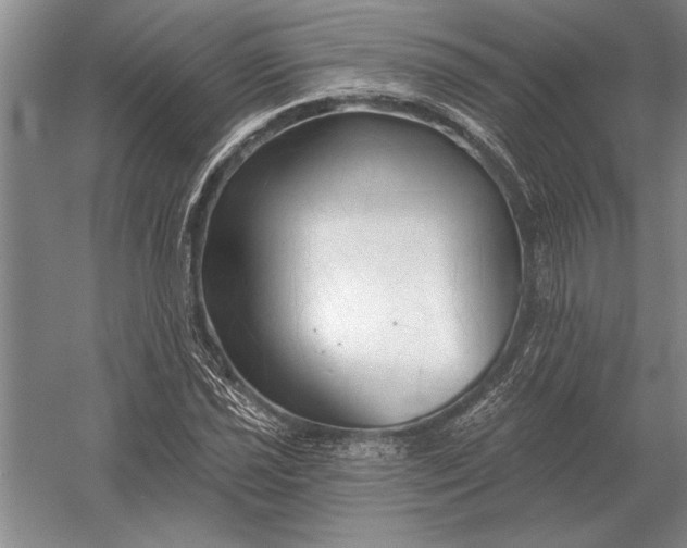 X0000054361021200508191814