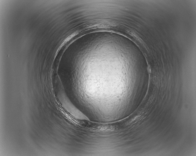 X0000054361026200508191814