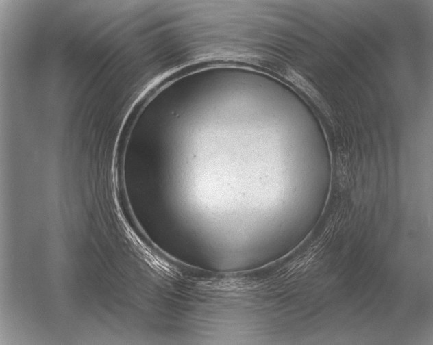 X0000054361028200508191814