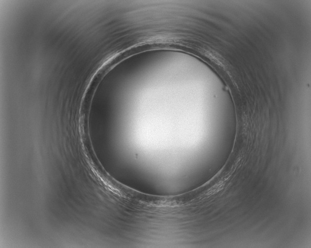 X0000054361029200508191814