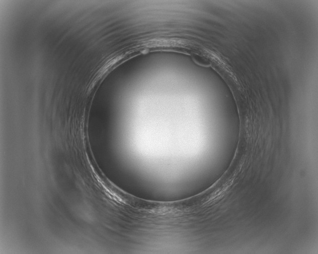 X0000054361033200508191814