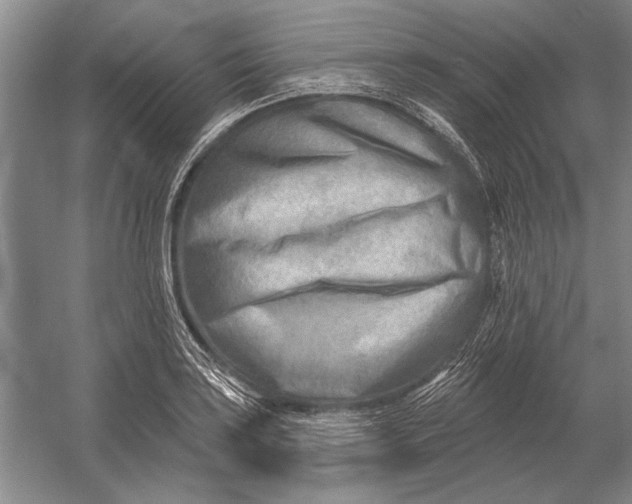 X0000054361035200508191814