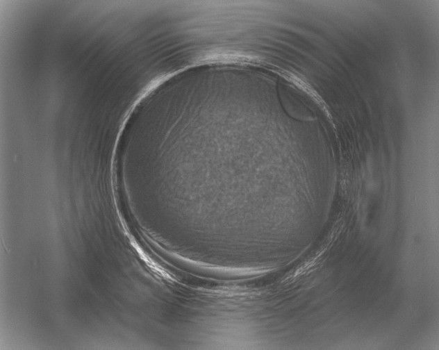 X0000054361037200508191814