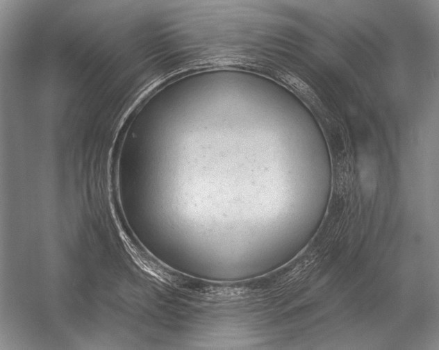 X0000054361039200508191814