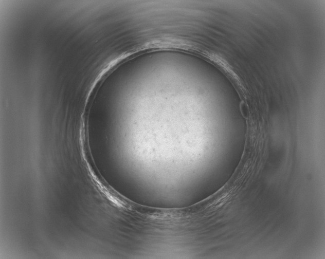 X0000054361040200508191814
