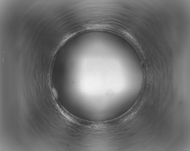 X0000054361041200508191814