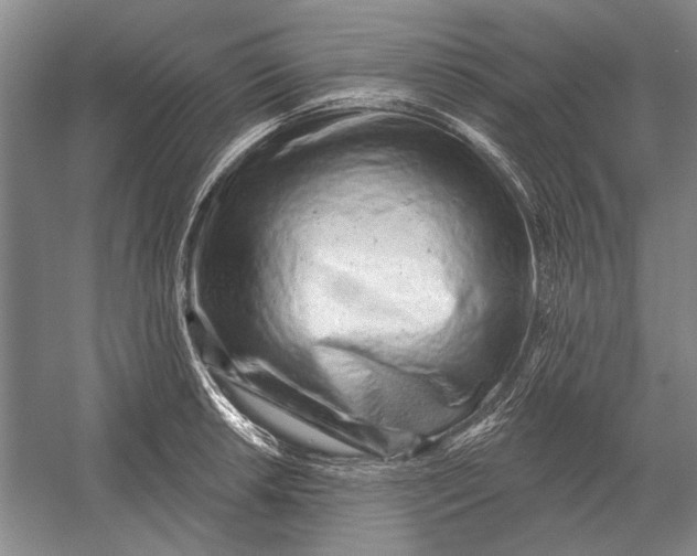 X0000054361042200508191814