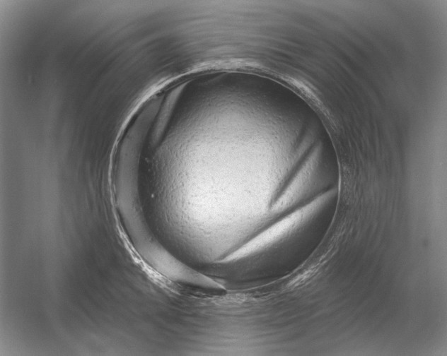 X0000054361046200508191814