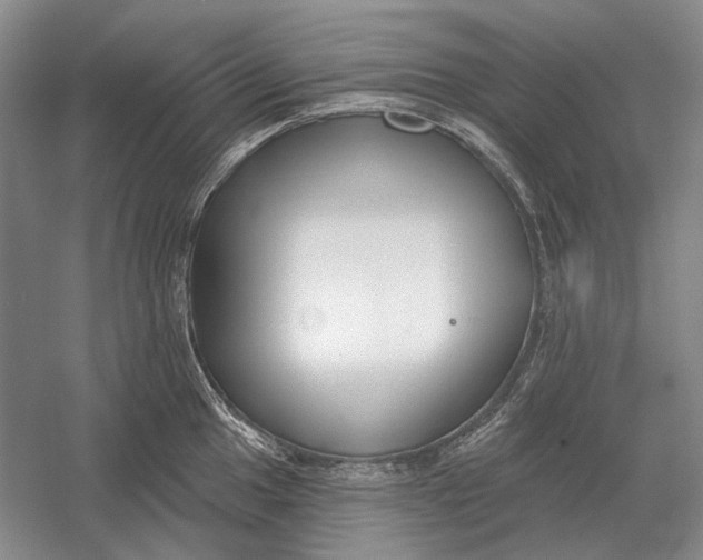 X0000054361049200508191814