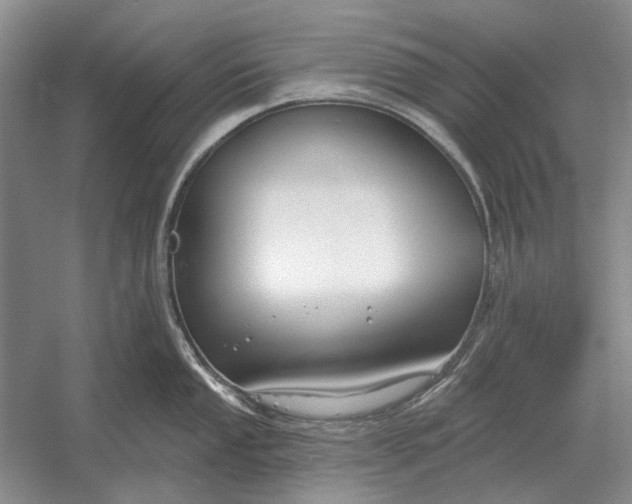 X0000054361053200508191814