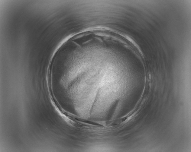 X0000054361054200508191814