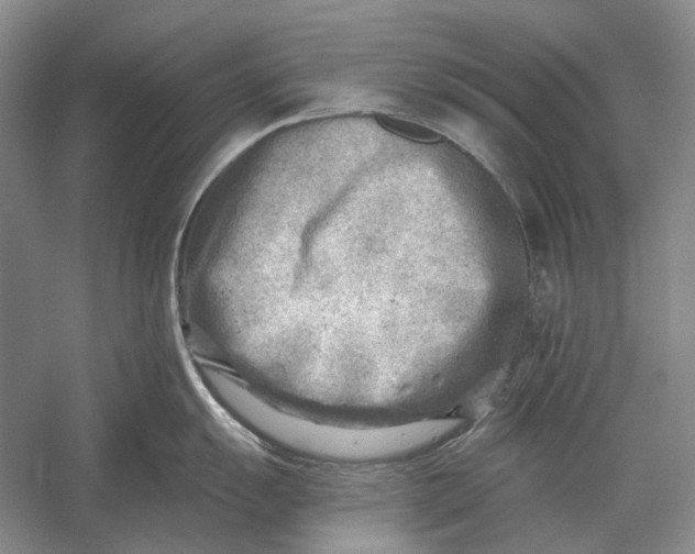 X0000054361055200508191814