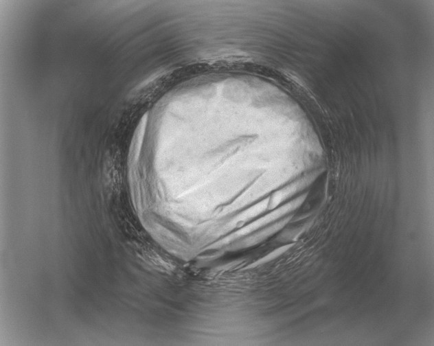 X0000054361063200508191813
