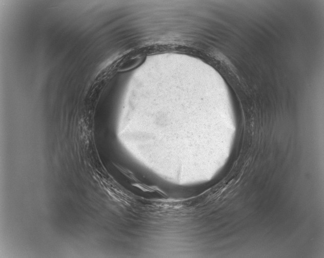 X0000054361064200508191813