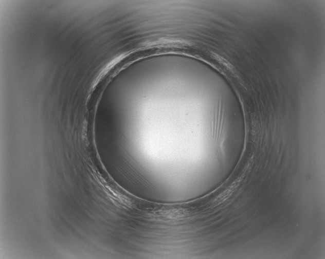 X0000054361066200508191813
