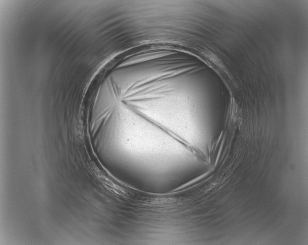 X0000054361068200508191813