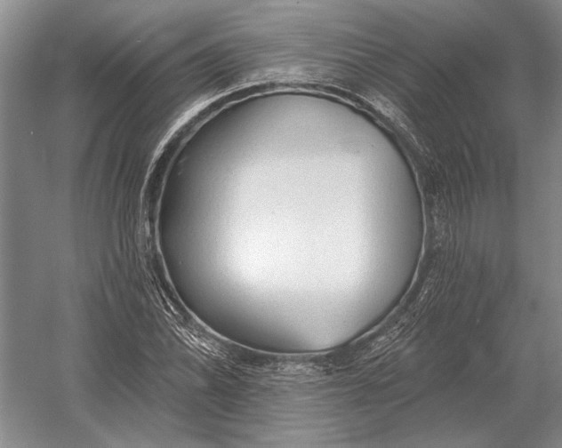 X0000054361070200508191813