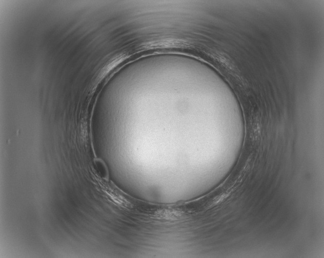 X0000054361073200508191813