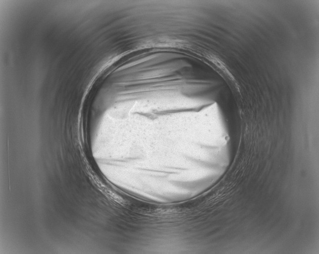 X0000054361080200508191813