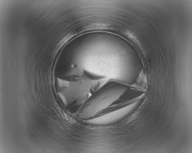 X0000054361081200508191813