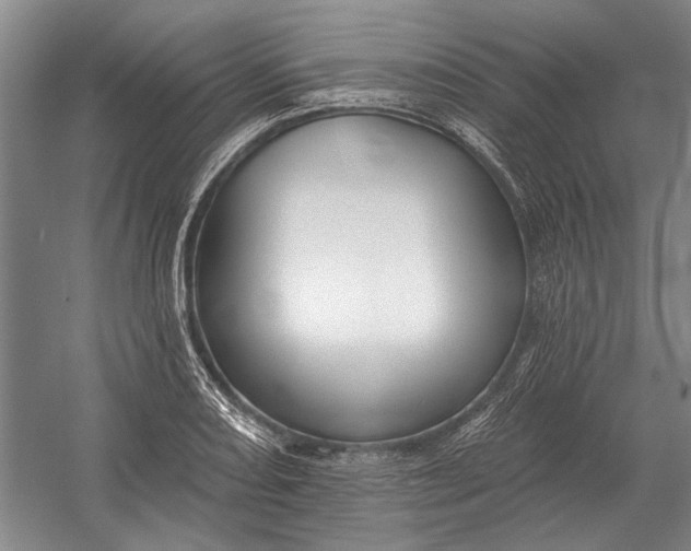 X0000054361082200508191813
