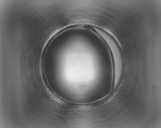 X0000054361085200508191813