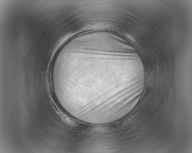 X0000054361086200508191813