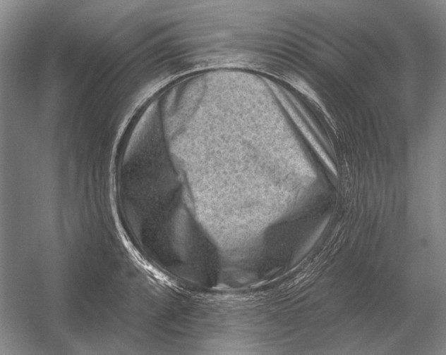 X0000054361088200508191813