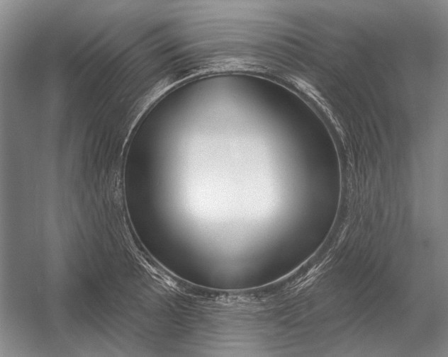 X0000054361089200508191813