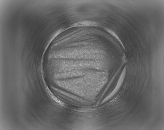 X0000054361091200508191813