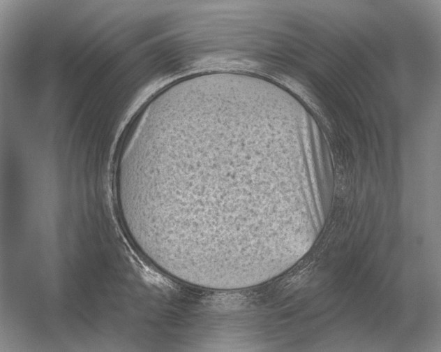 X0000054361094200508191813
