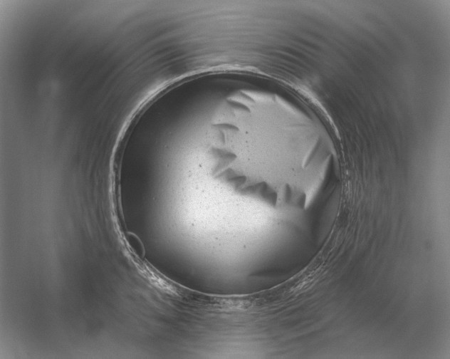 X0000054361096200508191813