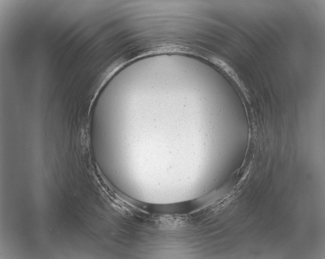 X0000054361097200508191813