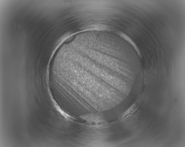 X0000054361099200508191813